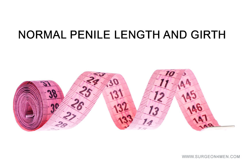 Normal Penile Length and Girth Image