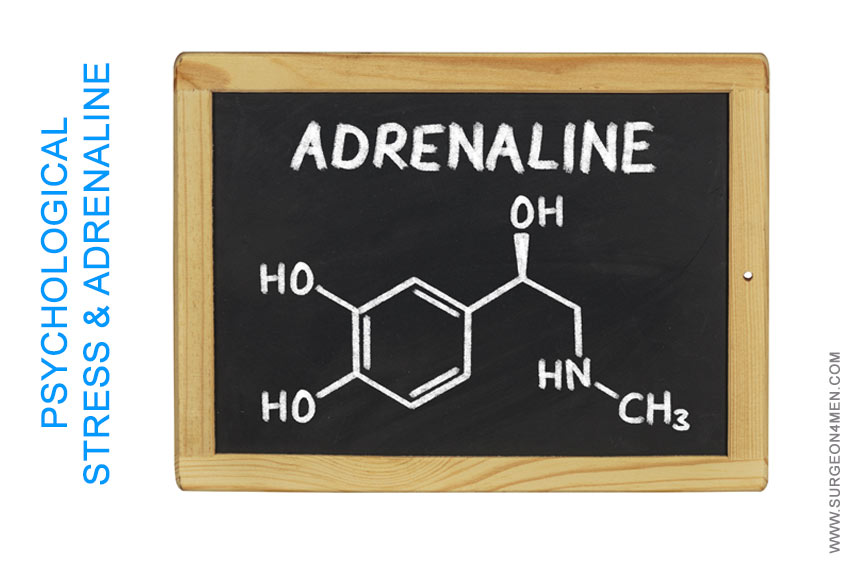 Adrenaline Image