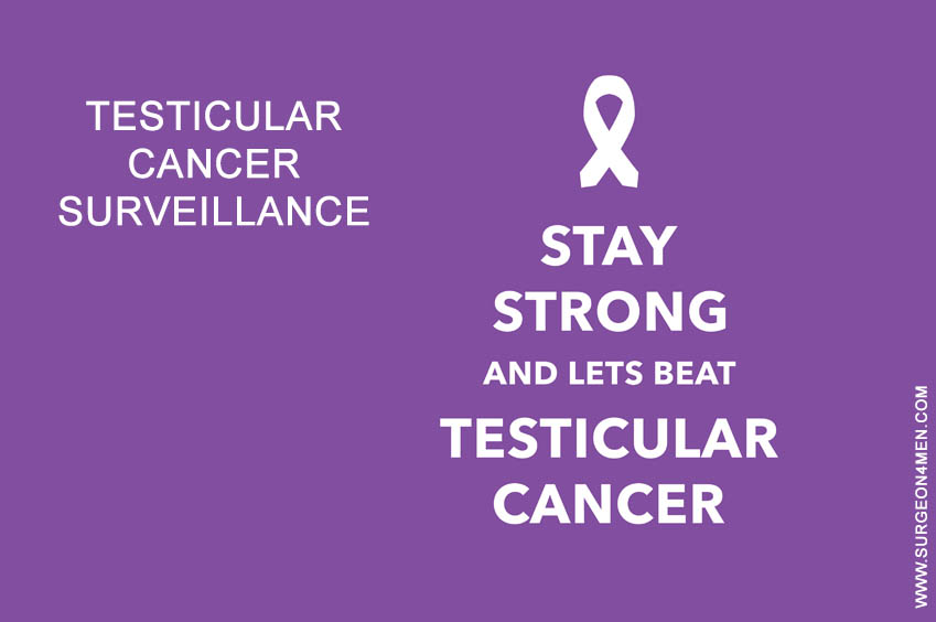 Testicular Cancer Surveillance Image