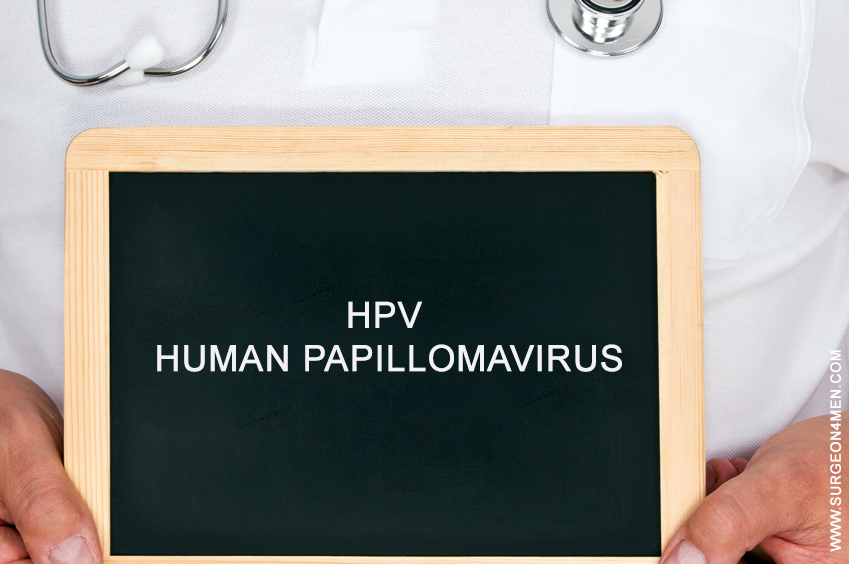 HPV – Human Papillomavirus Image