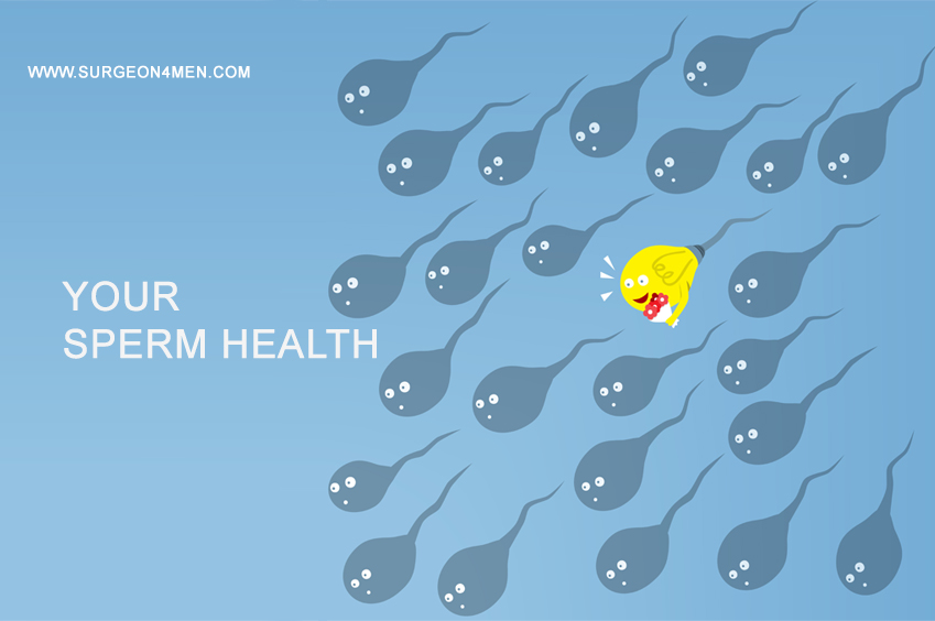 Your Sperm Health image