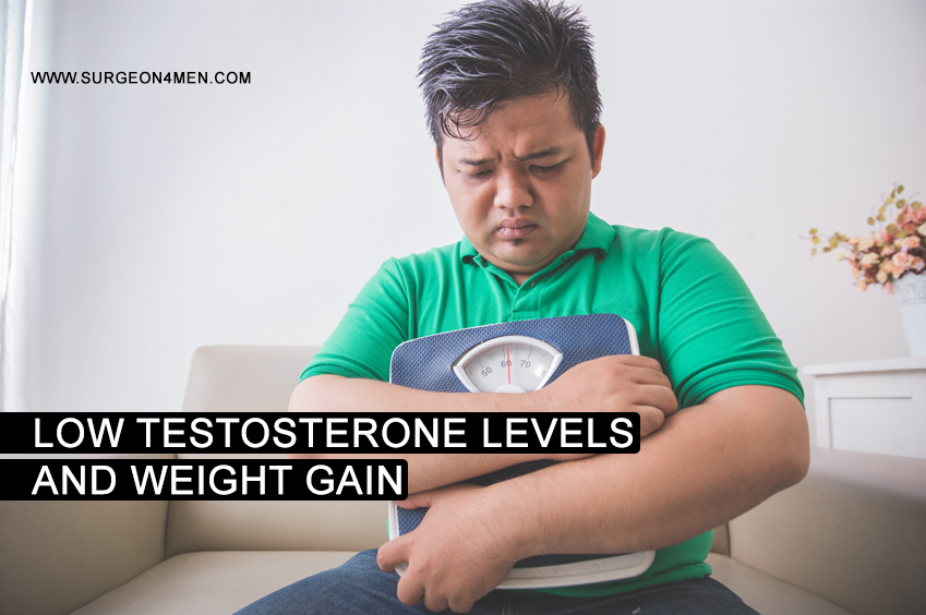 Low Testosterone Levels And Weight Gain image