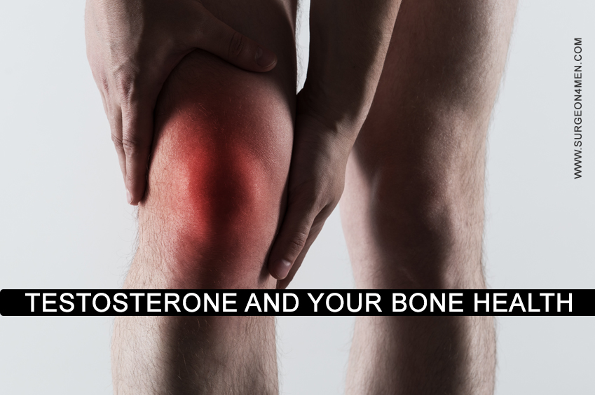 Testosterone And Your Bone Health image