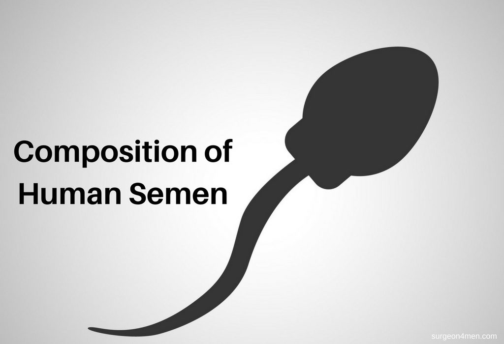 Composition of Human Semen