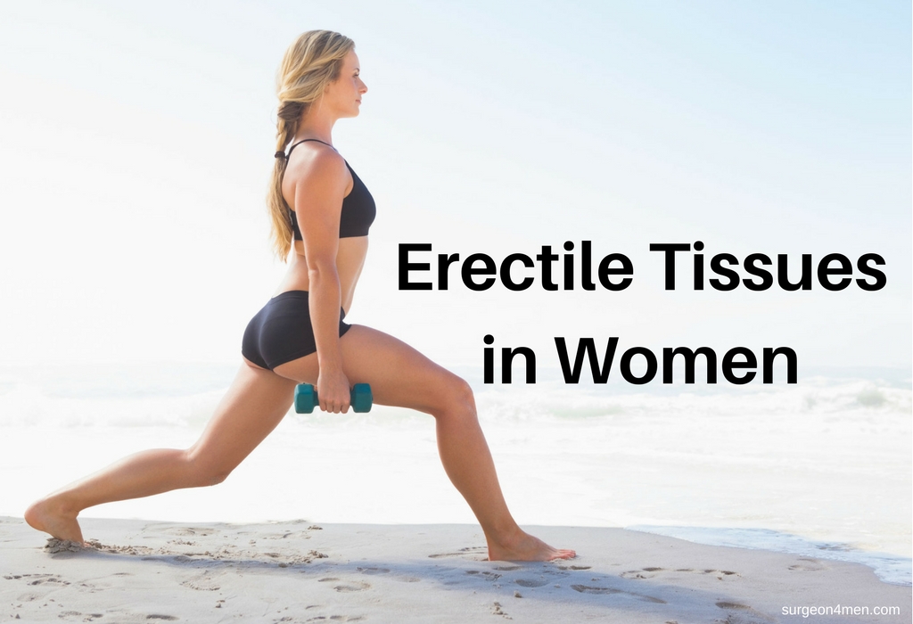 The function and location of erectile tissue are different for men and women, which indicates their unique roles for each sex. Today we're highlighting the erectile tissues in women. Sorry men! 