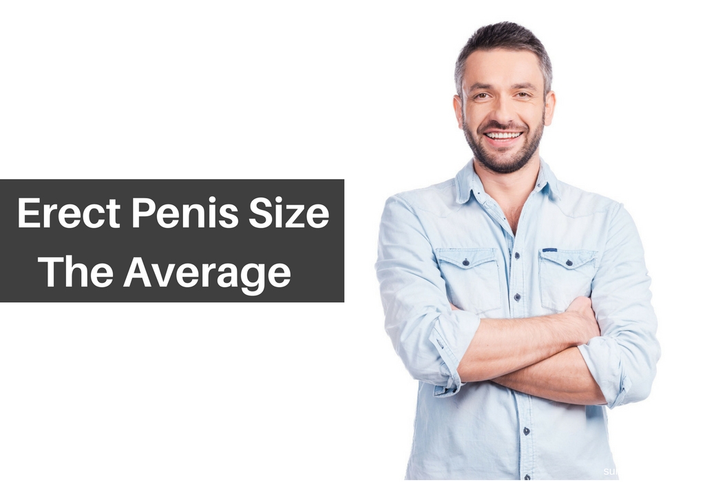 Average erect Penis Size