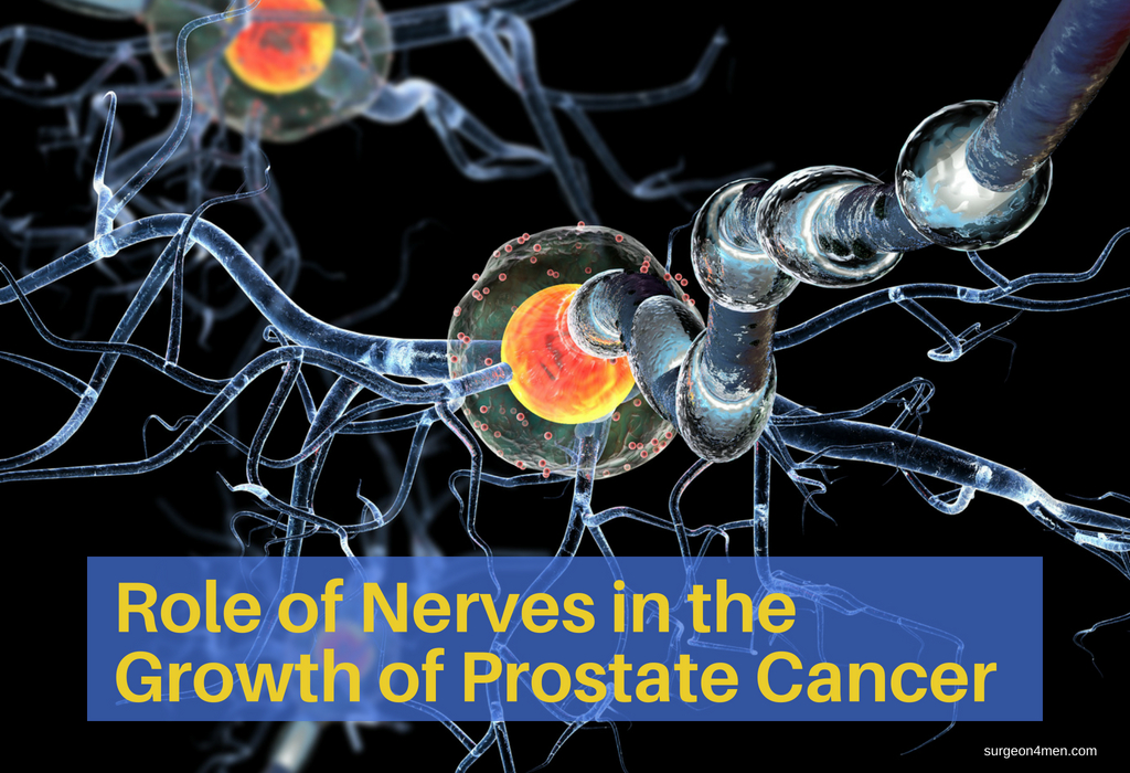 Role of Nerves in the Growth of Prostate Cancer