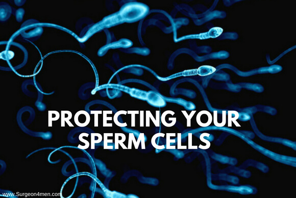 Protecting Your Sperm Cells
