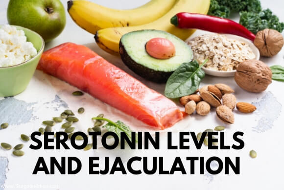 Serotonin Levels and Ejaculation